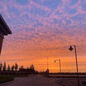 超级碰碰青草久热国产
